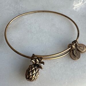 Alex and Ani Gold Pineapple Charm Bracelet